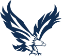 Tabernacle Falcons logo - a white and blue falcon