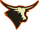 Kell High School Logo - A longhorn with dark brown body, light tan head, and a burnt orange outline over the entire image.