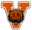 Virginia High School Bearcats Logo